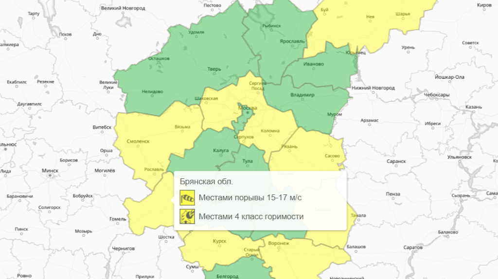 Жёлтый уровень погодной опасности объявили в Брянской области