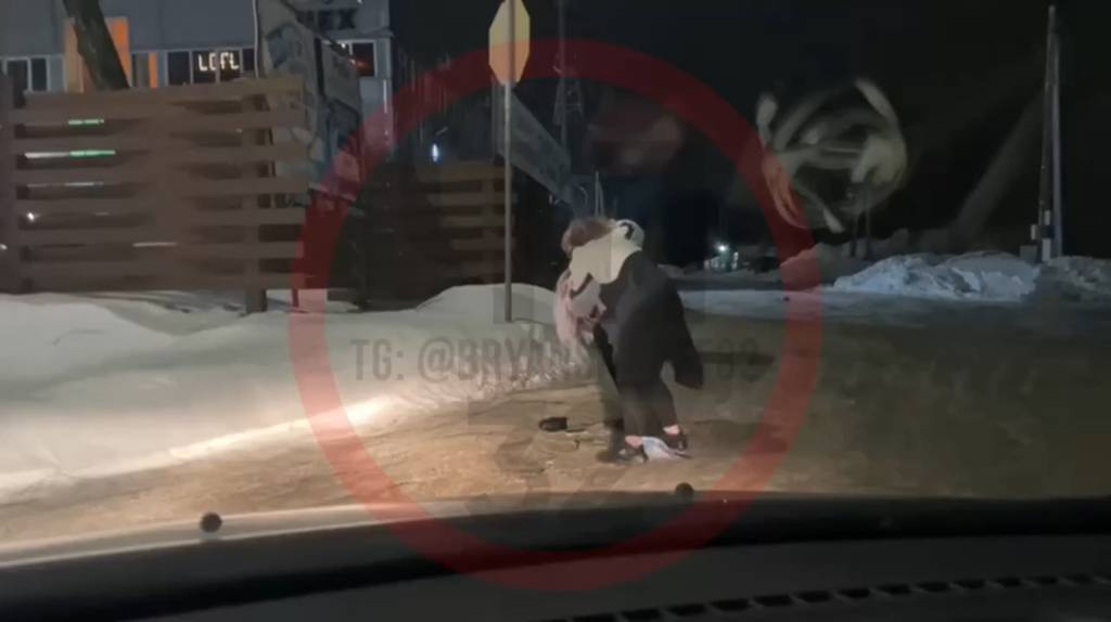 Драка двух женщин на улице Рославльской в Брянске попала на видео