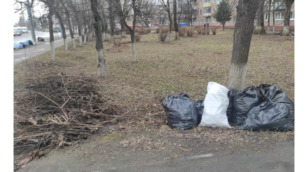 В Брянске стартовал месячник по благоустройству