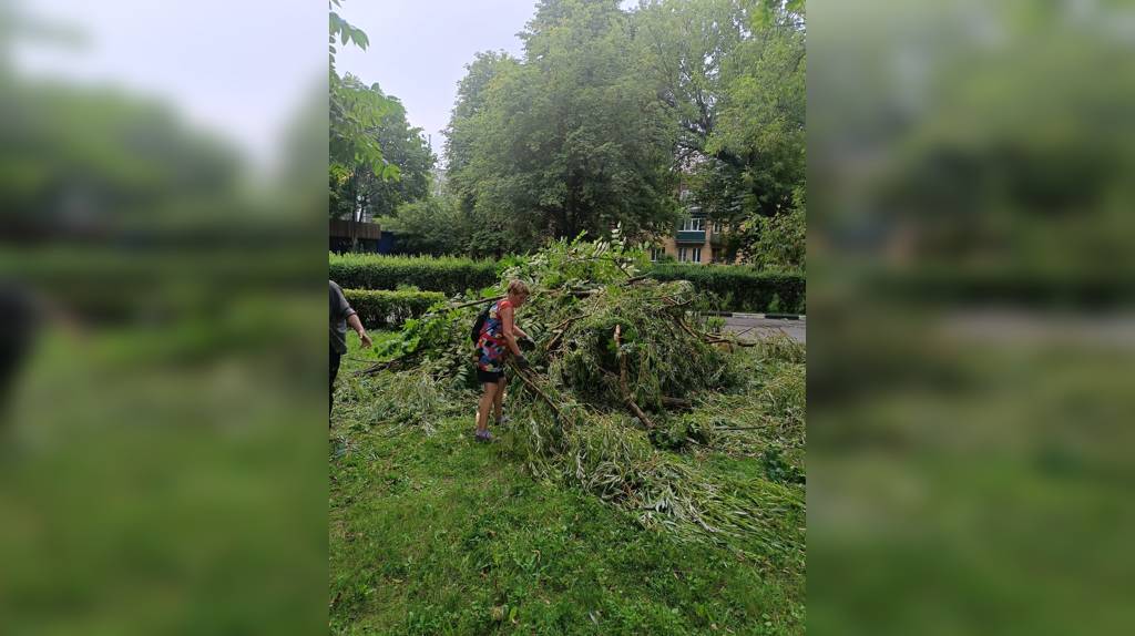 В парке имени 1000-летия Брянска устраняют последствия урагана