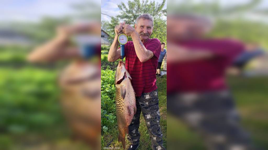 Брянский рыбак выловил карпа весом 12 кг