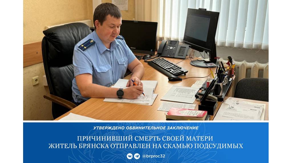 Брянец до смерти забил пожилую мать после упреков из-за беспробудного пьянства