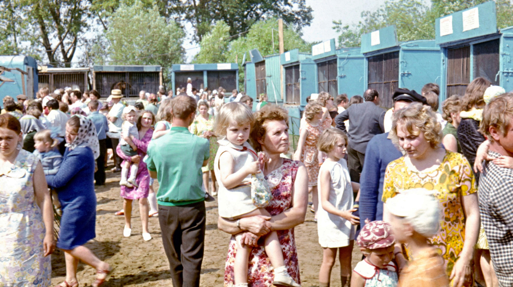 Показали редкое фото передвижного зверинца в Брянске 1973 года