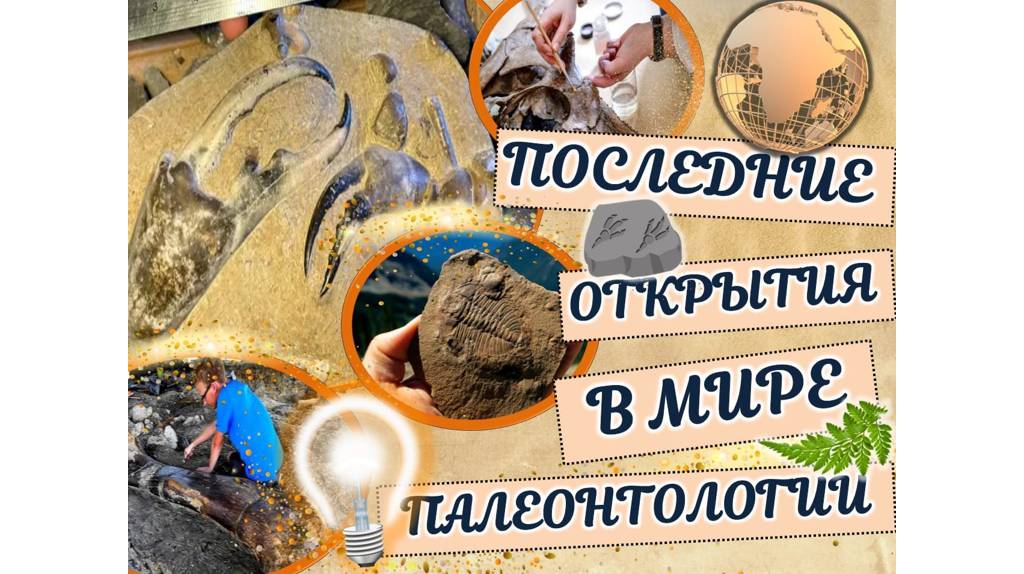 В Брянске пройдёт заключительное занятие клуба «Юный палеонтолог»