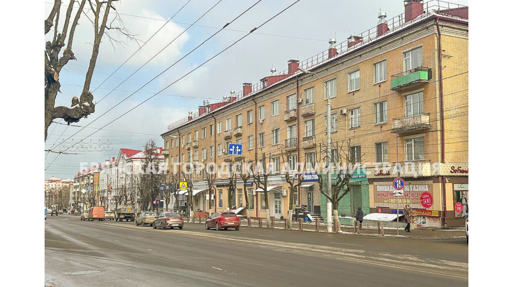 В Брянске с начала года кронировали более 700 деревьев