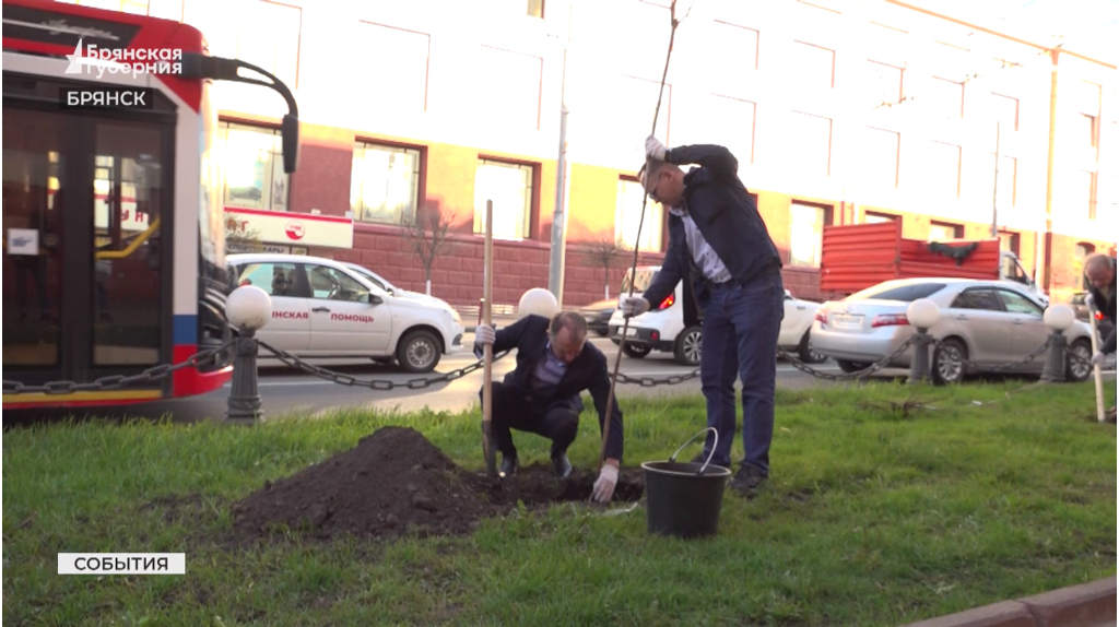 «Брянск зеленый»: к акции по высадке деревьев в городе подключились спортсмены