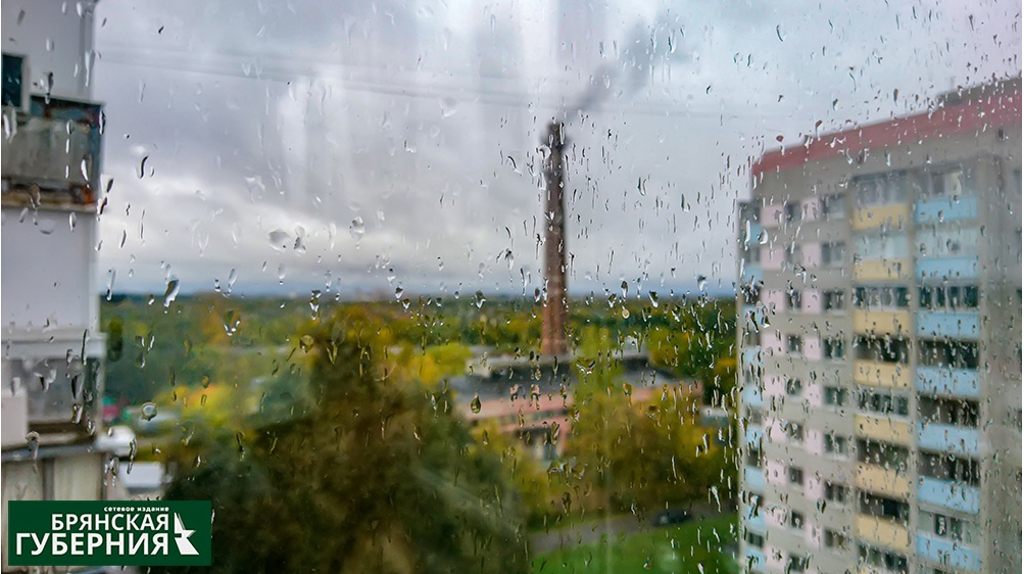 В Брянской области 22 мая ожидается +25ºC с дождем