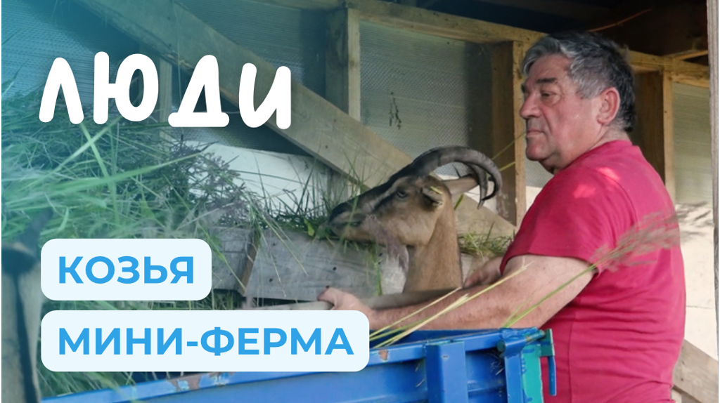 Домашняя козья ферма и сыроварение в Выгоничском районе | ЛЮДИ