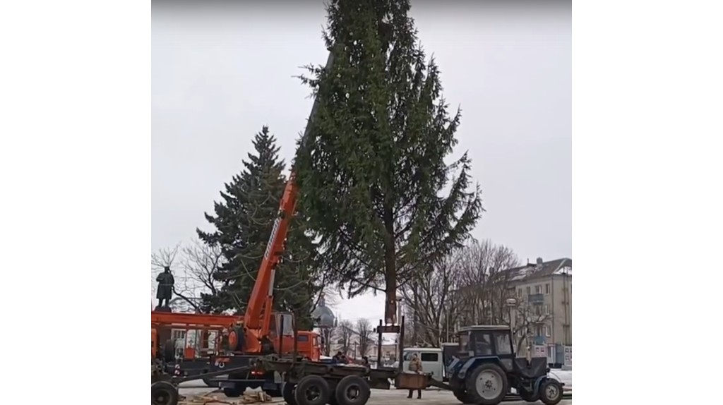 На центральной площади Новозыбкова установили новогоднюю ель