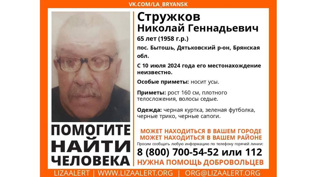  В Брянской области без вести пропал 65-летний Николай Стружков