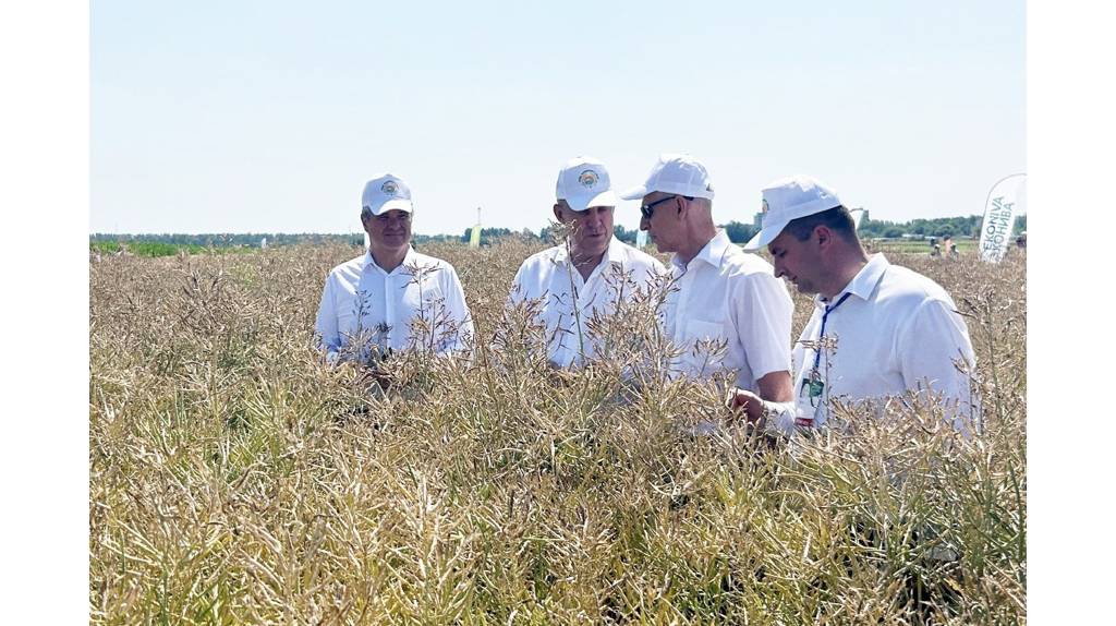 Брянский губернатор Богомаз отметил труд работников агропромышленного комплекса