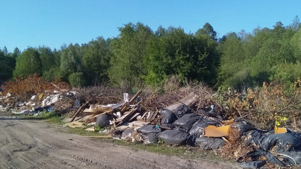 В Климово ликвидировали несанкционированную свалку на подъезде к полигону ТКО