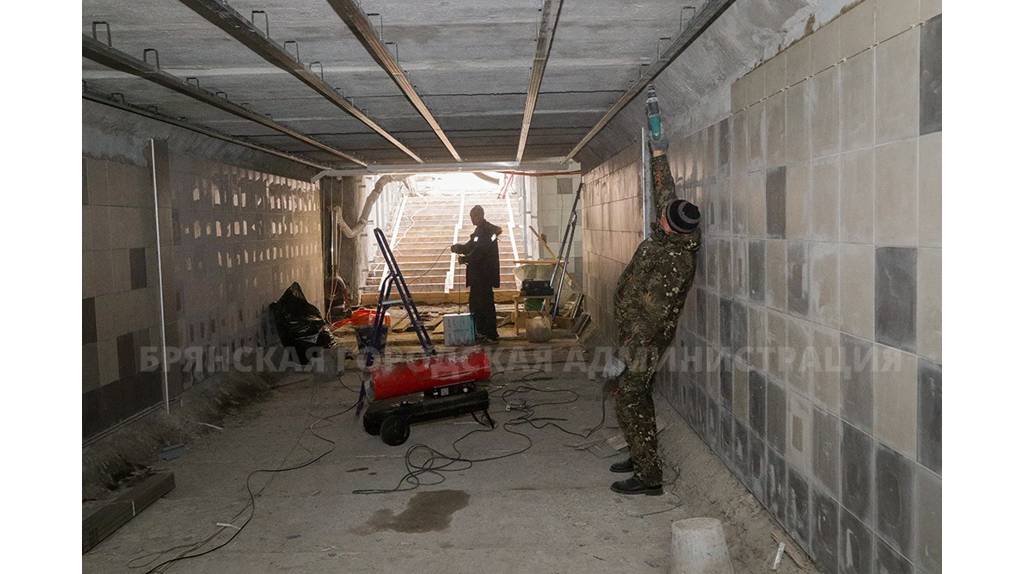 В Брянске вице-мэр Антошин потребовал добавить рабочих на капремонте подземного перехода