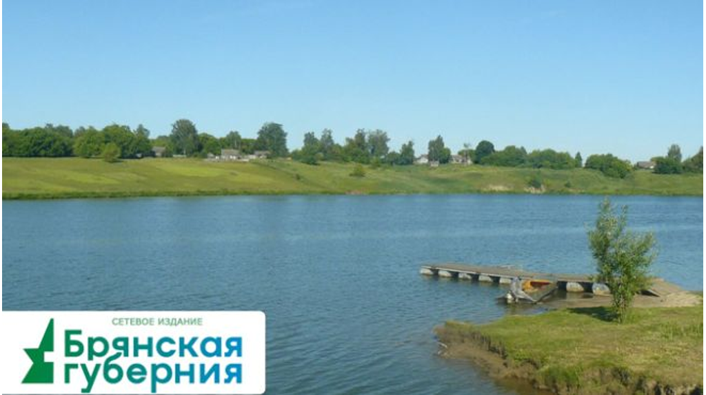 В Брянской области 28 июля обещают 31 градус жары
