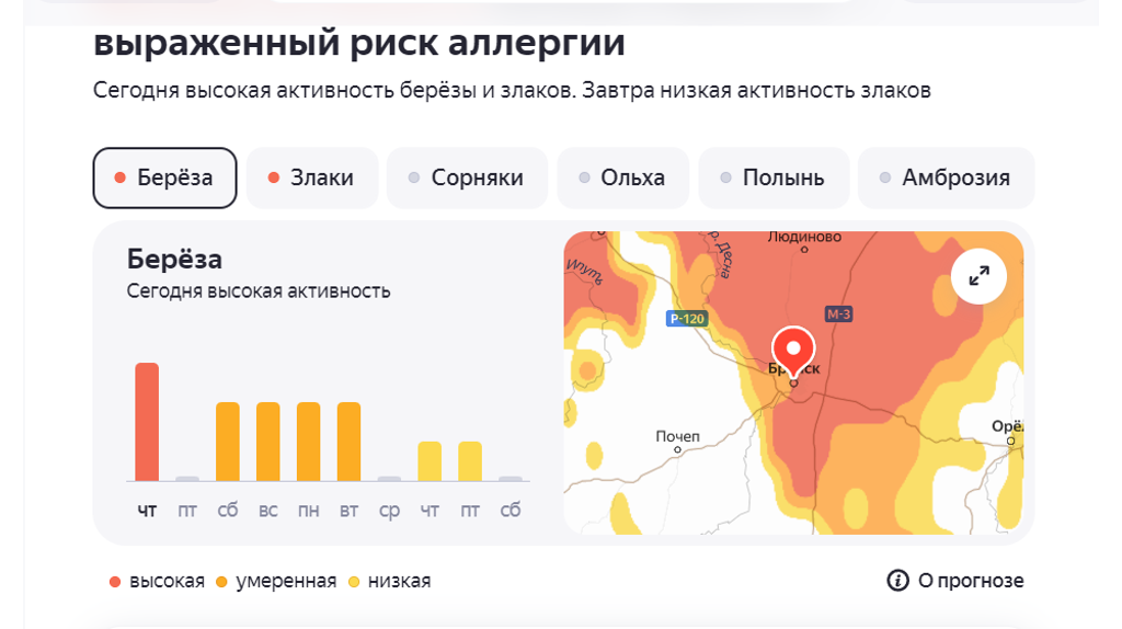 Брянск накрыла волна берёзовой и злаковой пыльцы