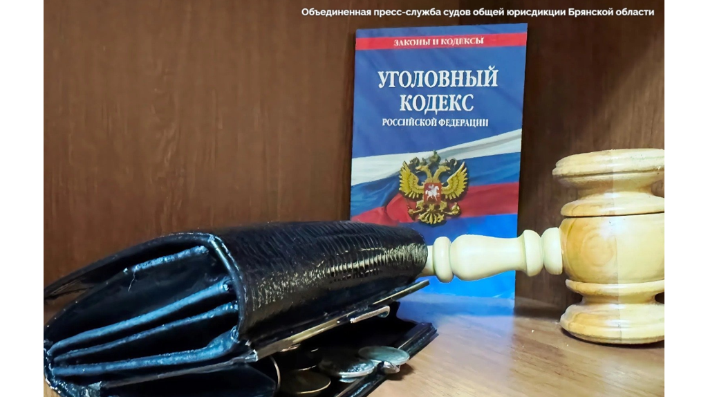 Рязанский лжегазовик обокрал брянскую пенсионерку и получил три года колонии