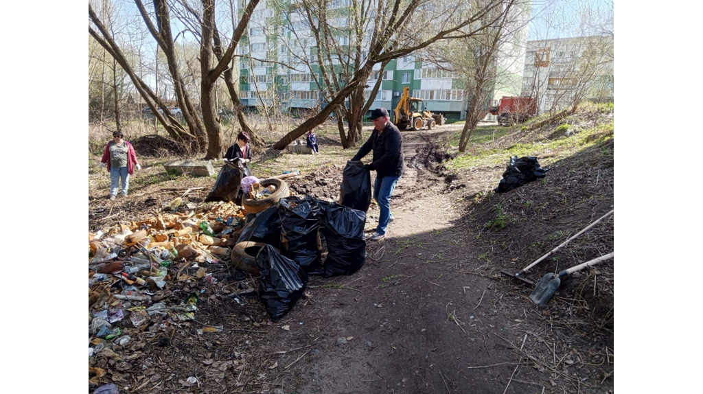 В Фокинском районе Брянска высадили 216 деревьев и 20 кустарников