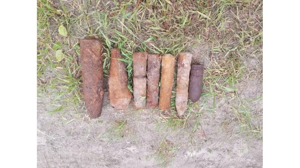 Снаряды и мины: в брянском лесу обезвредили 8 боеприпасов времен войны