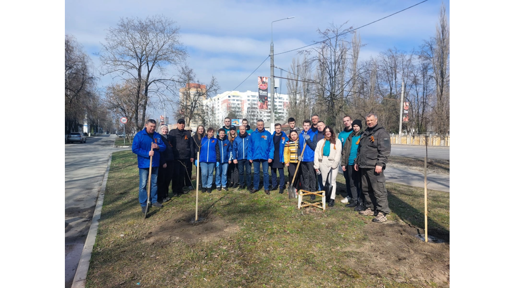 В Фокинском районе Брянска высадили 216 деревьев и 20 кустарников