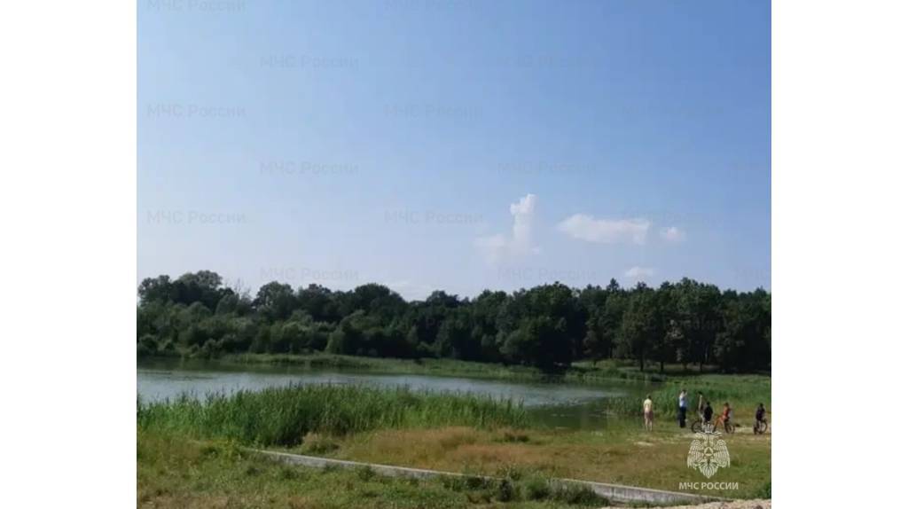 За неделю в Брянской области зафиксировано 9 происшествий на воде
