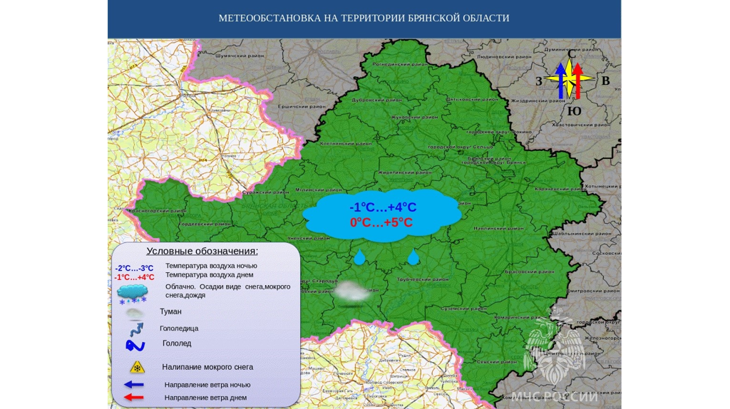 До +5 градусов при южном ветре ждут брянцев 8 января