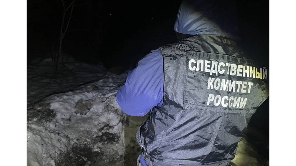 Трое жителей Выгоничского района избили знакомого до смерти и закопали труп в лесу