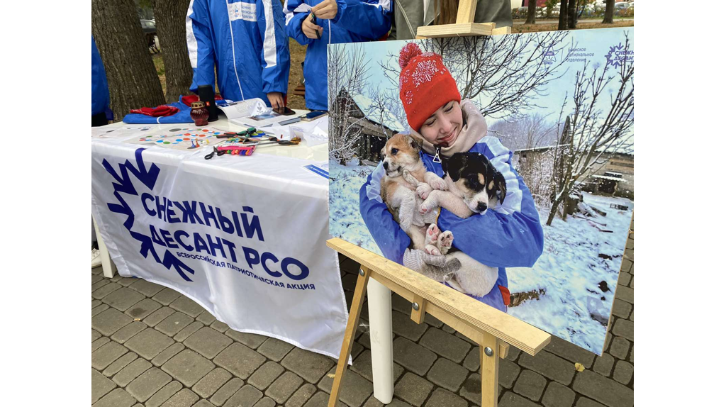 В Брянске в Круглом сквере работает фестиваль добра