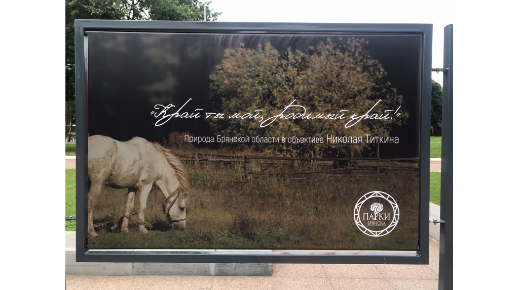 В Брянске на Кургане Бессмертия открылась фотовыставка «Край ты мой, родимый край!»