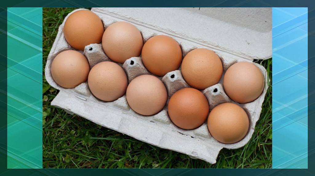 В Брянской области куриные яйца подешевели до 100 рублей за десяток