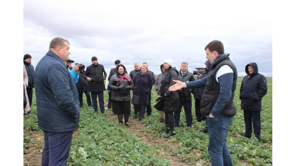 На Брянщине белорусские гости узнали секрет высокой урожайности рапса