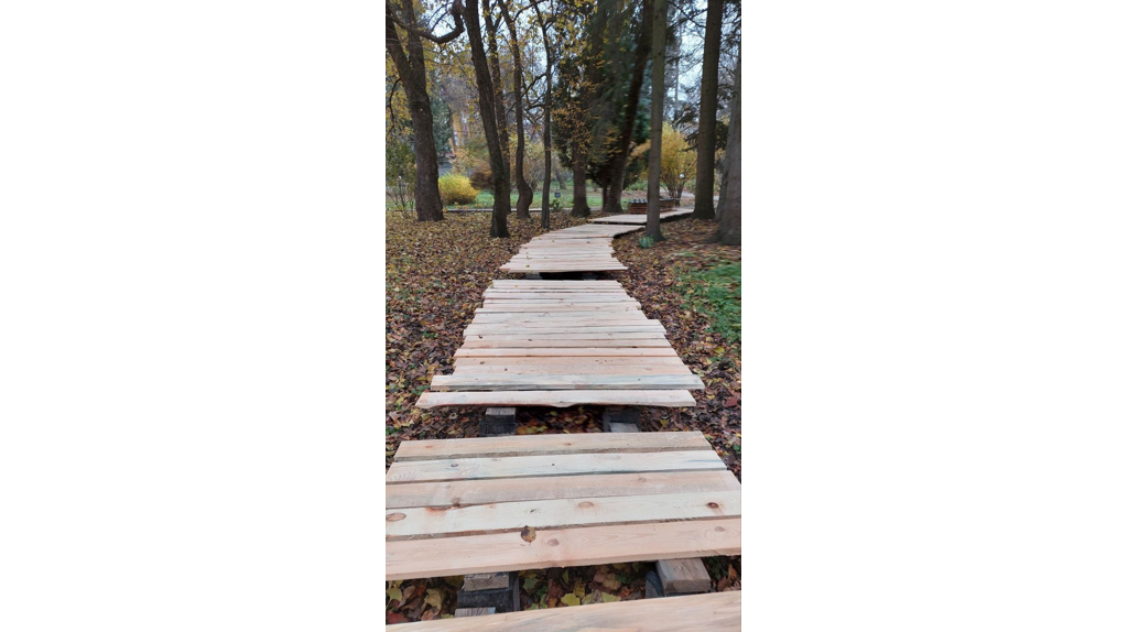 В брянском ботаническом саду появилась Дощатая тропа