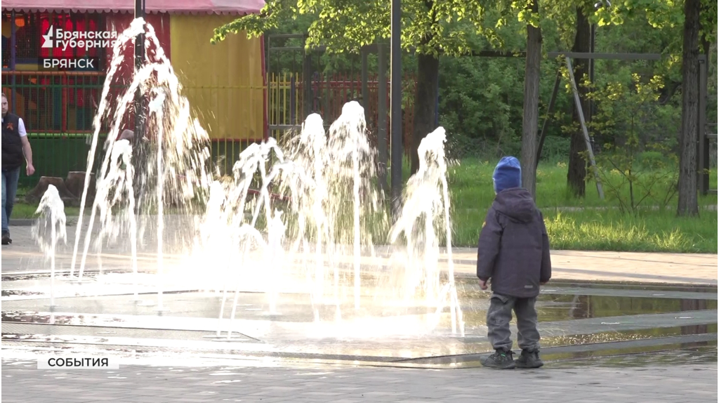 Как отметили День Победы в брянских парках