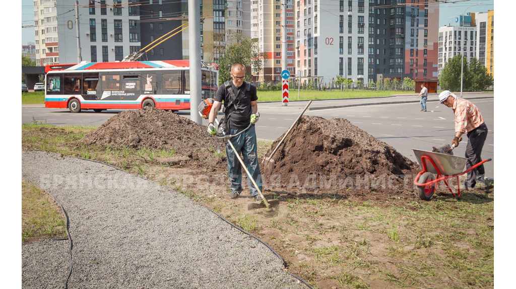 Новая кольцевая развязка в Брянске превратилась в зеленый островок