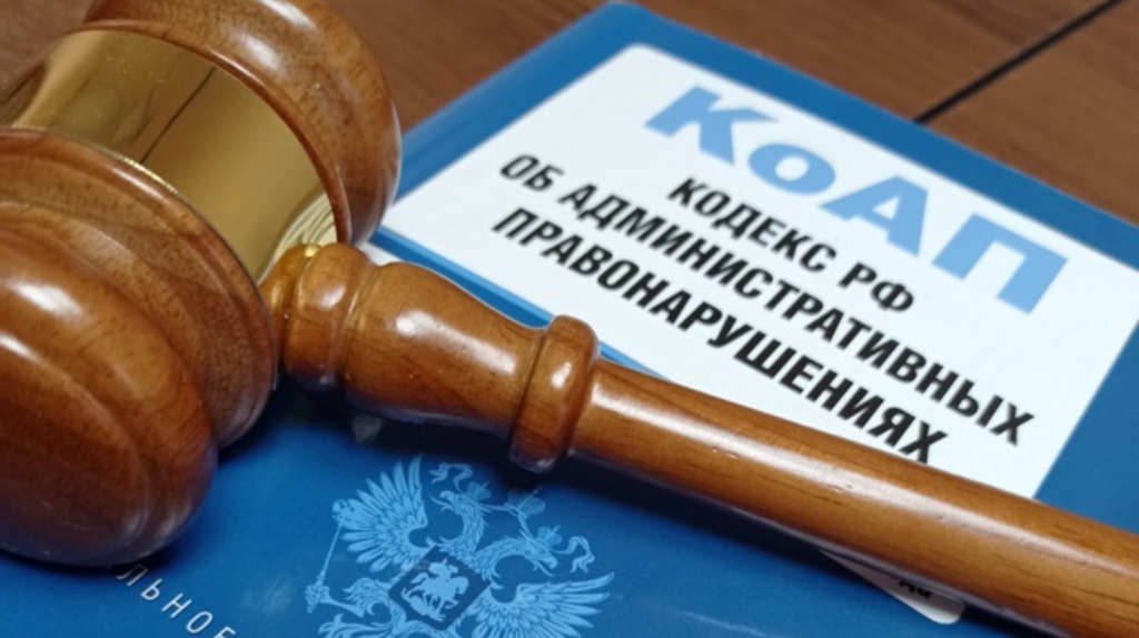 В Новозыбкове первого замглавы администрации оштрафовали за аварийные деревья