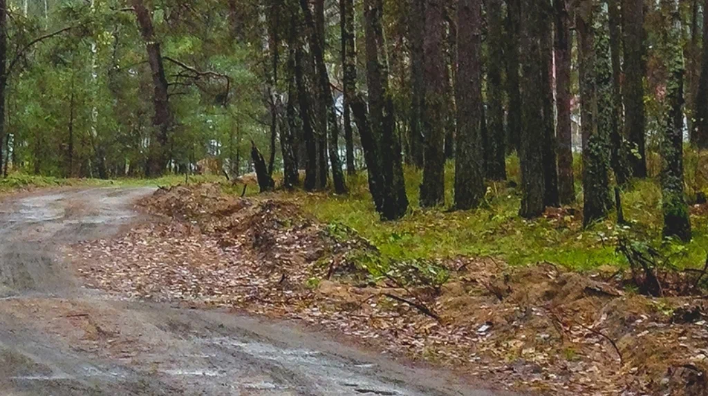В Брянской области 6 октября ожидается +18 