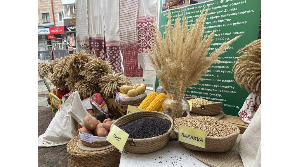 На бульваре Гагарина в Брянске развернулись красочные подворья