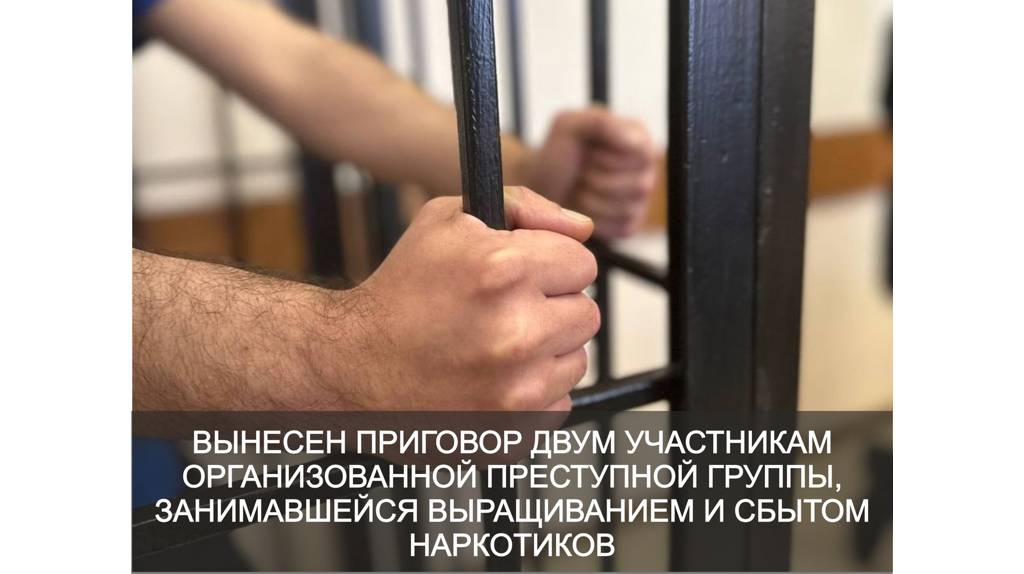 В Жуковке двоих наркодельцов отправили в колонию строгого режима