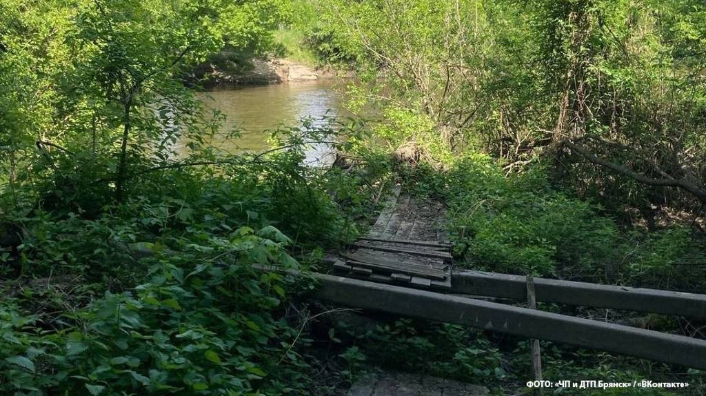 В Хотылёво не планируют восстанавливать подвесной мост