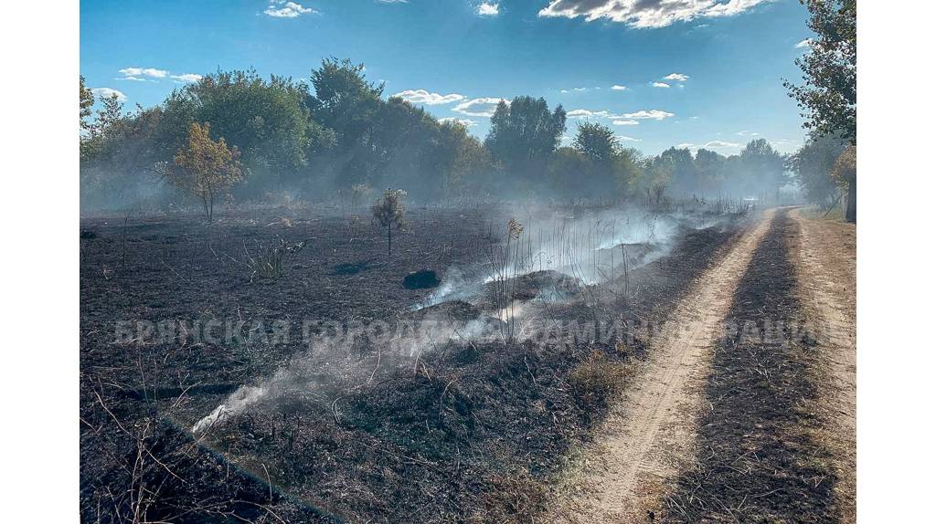 В Брянске в воскресенье горела трава в двух садовых обществах