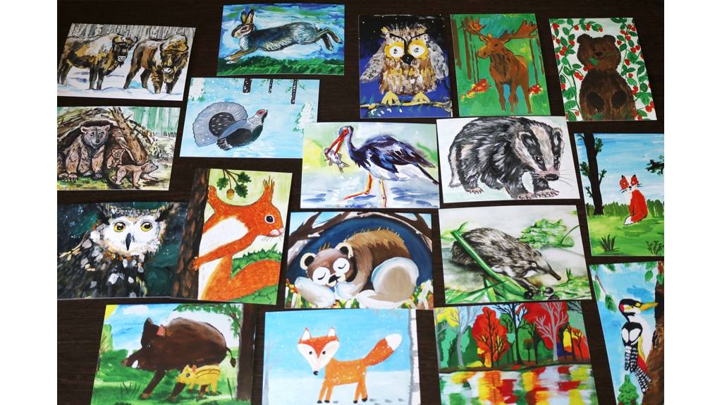 Заповедник «Брянский лес» выпустил серию открыток по итогам детского конкурса рисунков