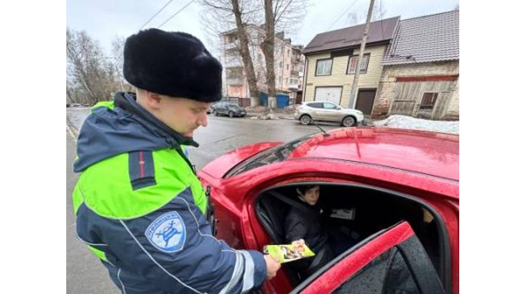 Брянским водителям напомнили о правилах перевозки детей