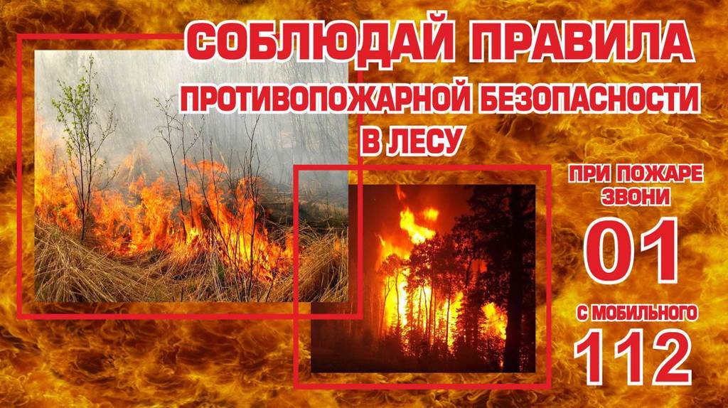 Жителям Брянской области напомнили правила пожарной безопасности в лесу
