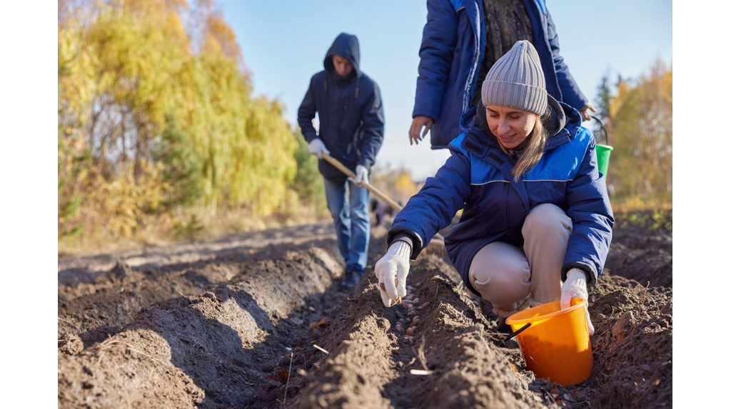 Под Брянском в питомнике посеяли желуди дуба в рамках акции «Сохраним лес»