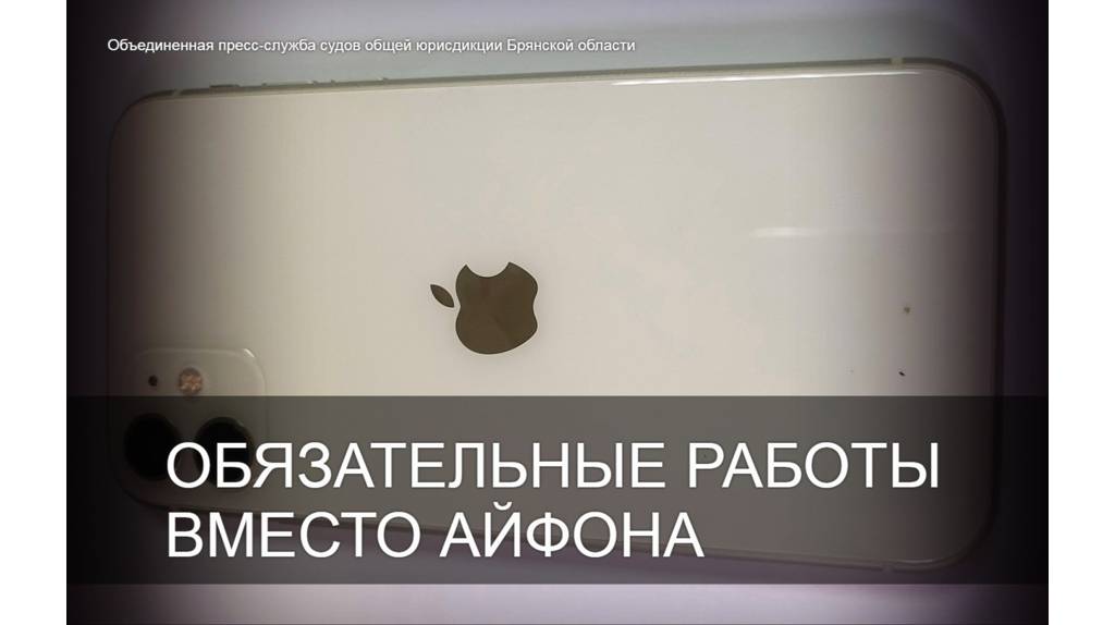 В Клинцах 20-летняя девушка присвоила найденный «iPhone 12»