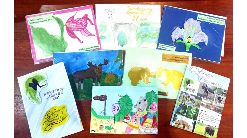 Заповедник «Брянский лес» объявил конкурс открыток в честь своего дня рождения