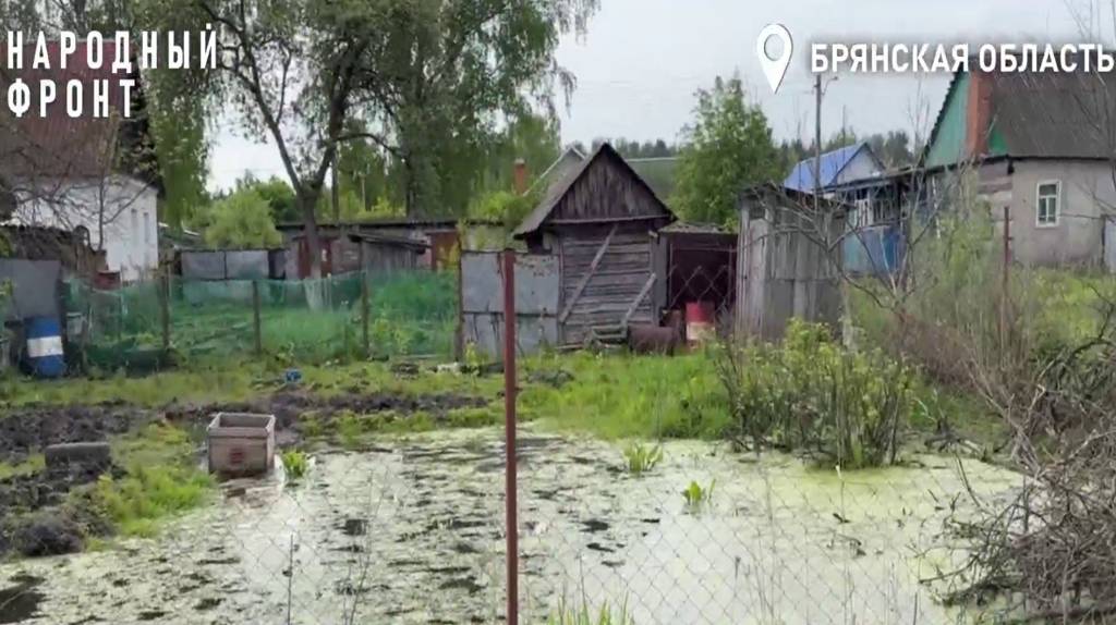 В Брянске на улице Кольцевой огороды превратились в болото
