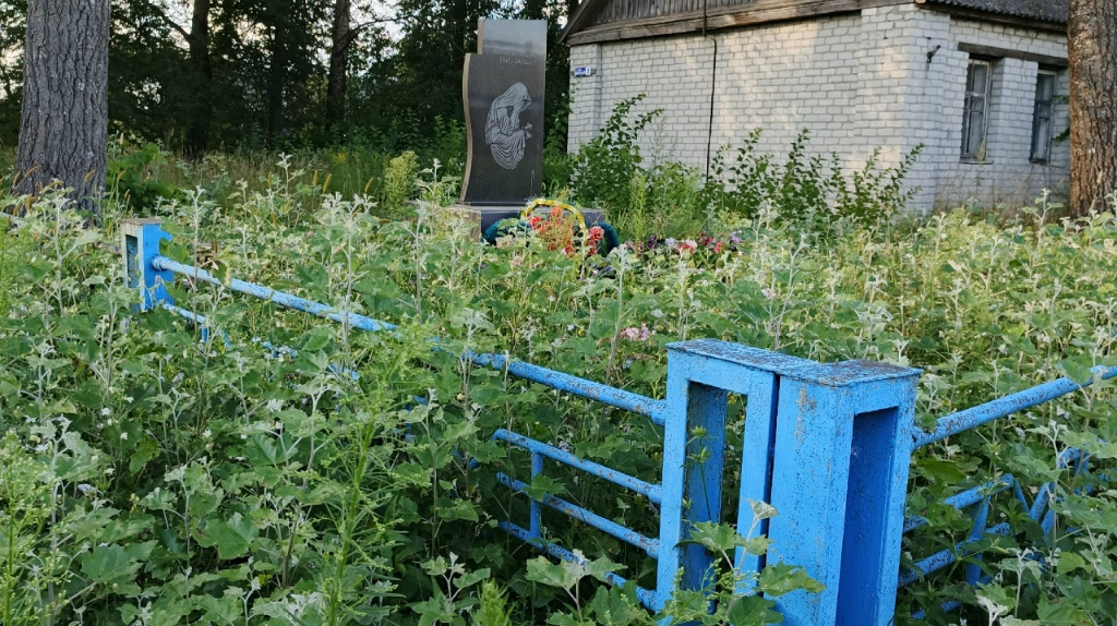 В навлинском селе памятник павшим в войне зарос травой