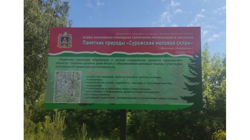 Заросший парк графа Петра Завадовского в брянских Ляличах обозначили аншлагом