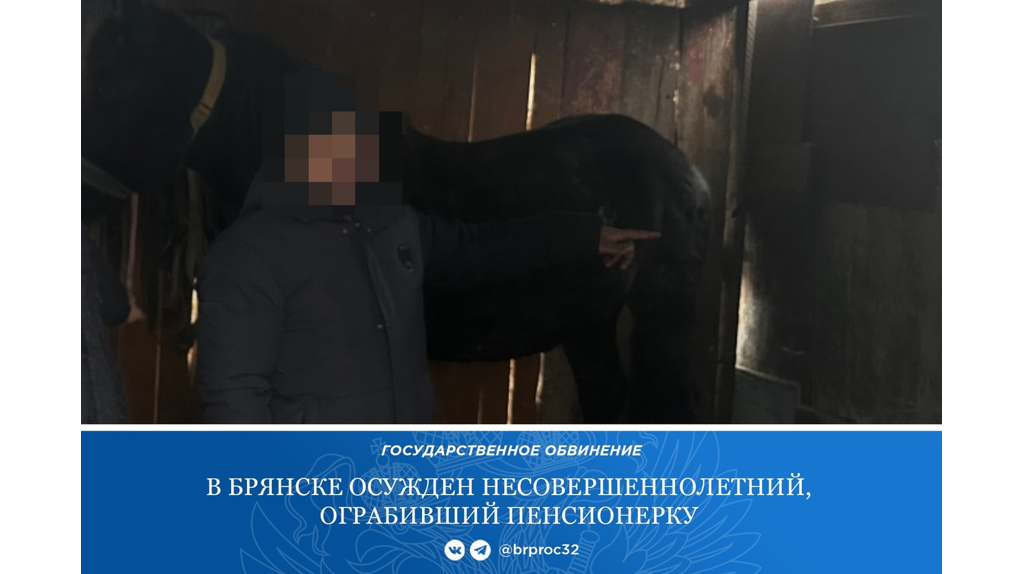 В Брянске 15-летний подросток отобрал у пенсионерки сумку с 1 млн 689 тысячами рублей