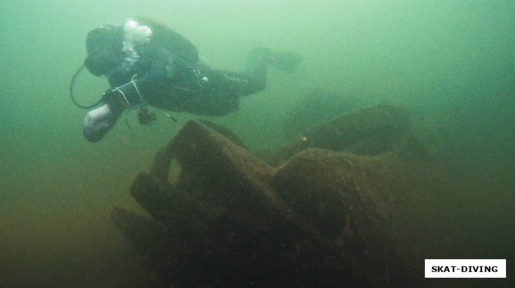 Брянские подводники встревожены состоянием уникального водоема города